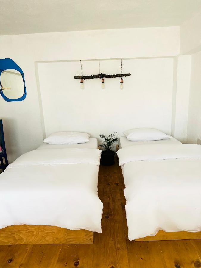 My Wooden Apartments 티라나 외부 사진