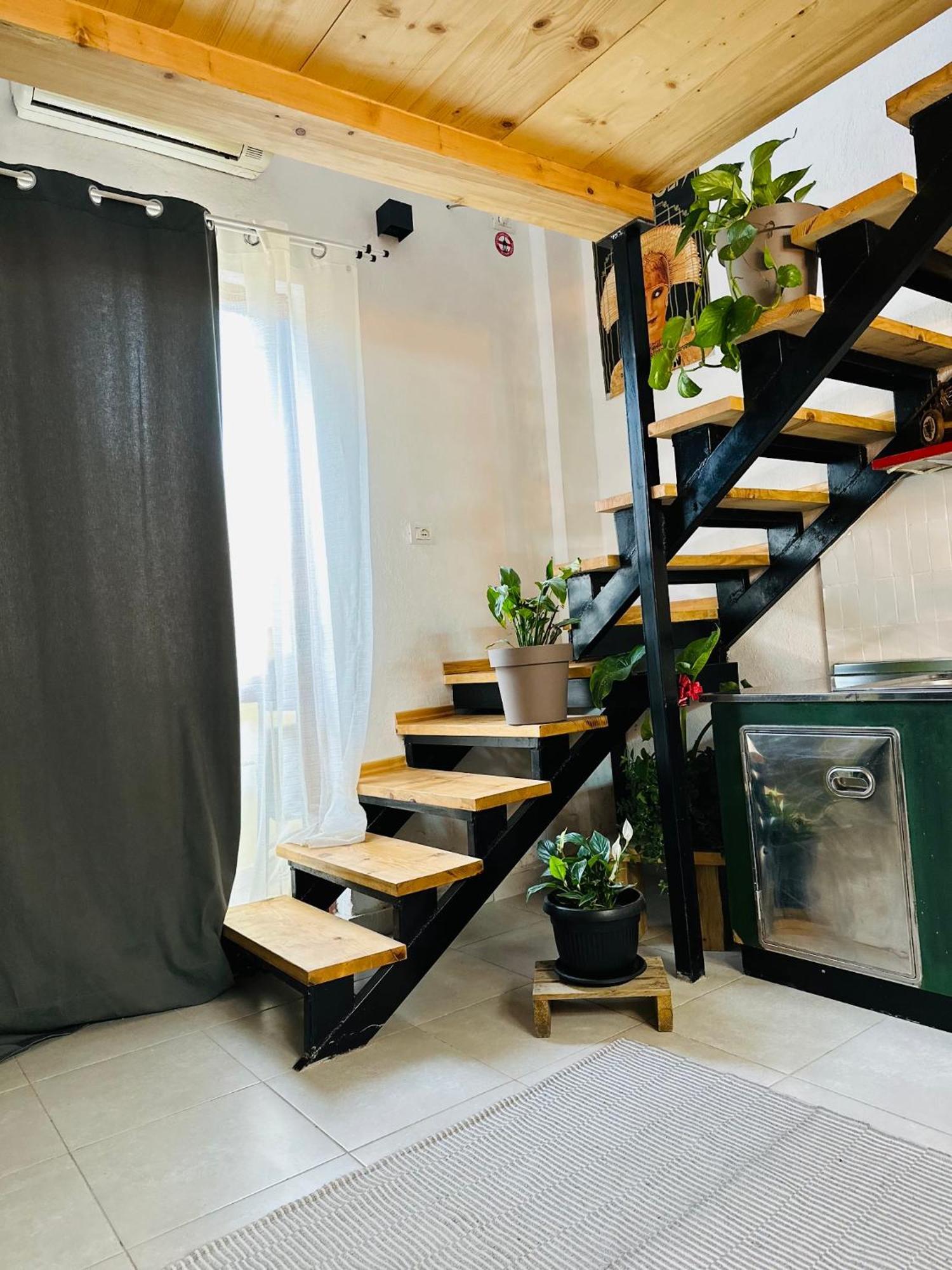 My Wooden Apartments 티라나 외부 사진
